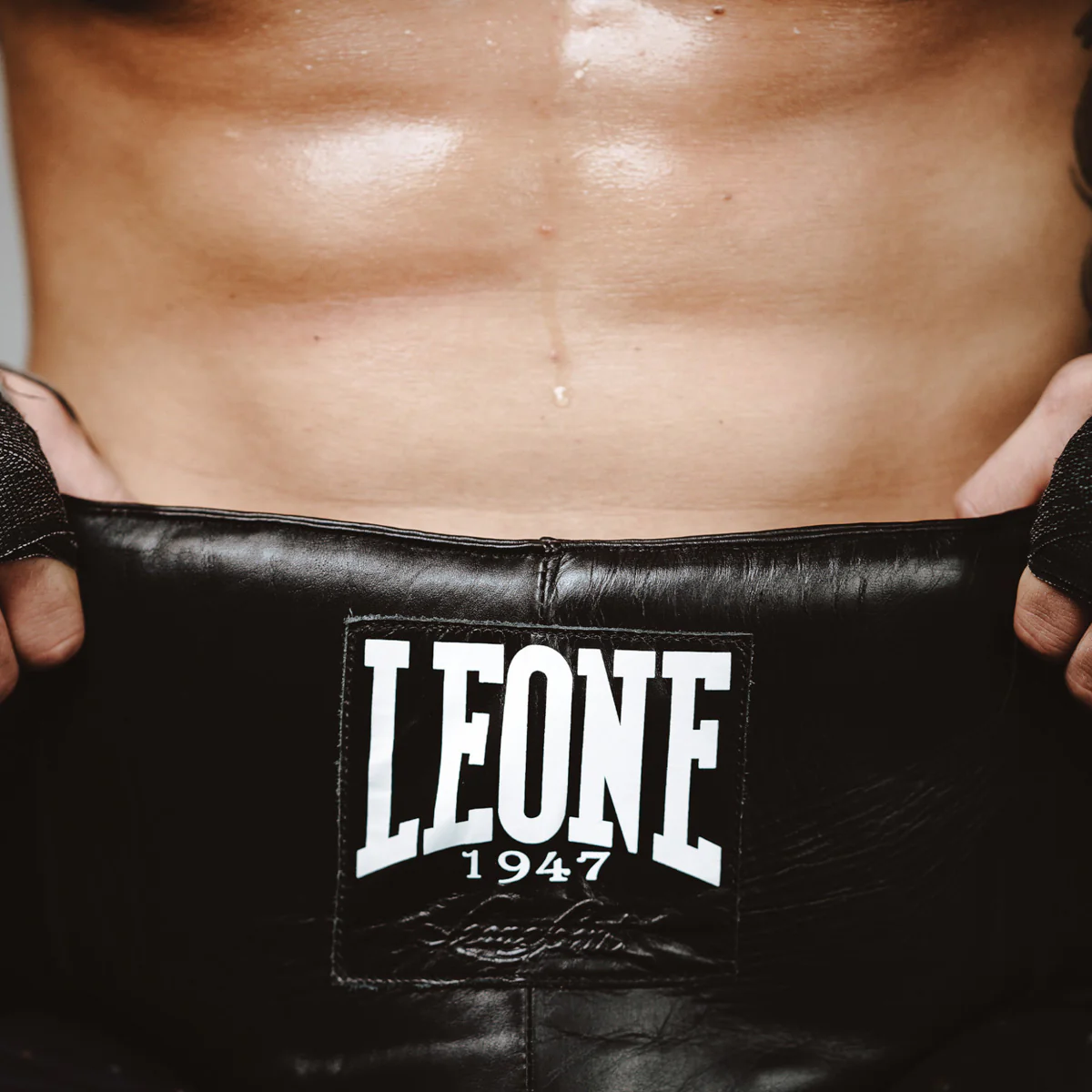 Coquille Pro Leone The Greatest PR335  - Image 8