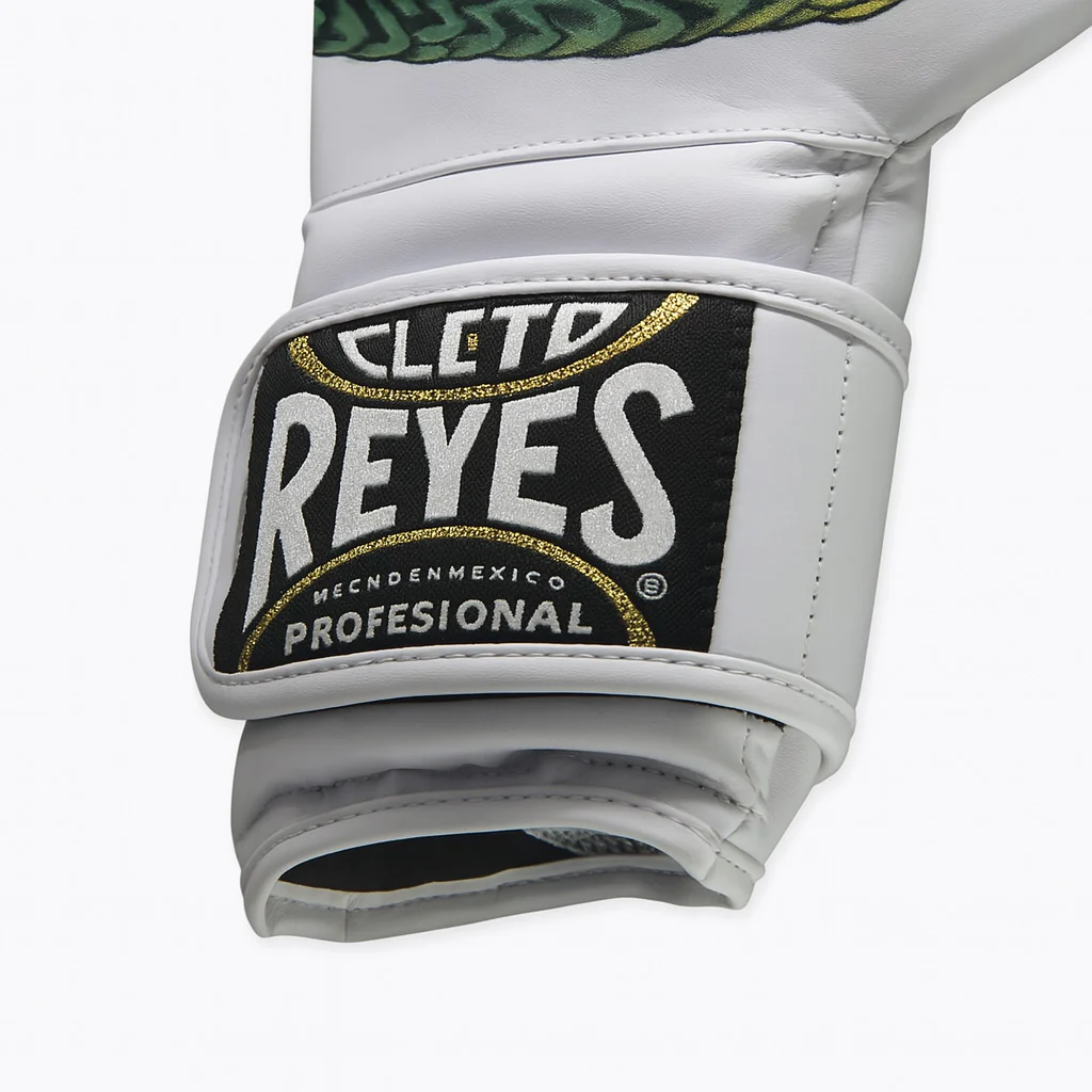 Gants de boxe Cleto Reyes Fiber Quetzalcoatl Prison Art  - Image 3