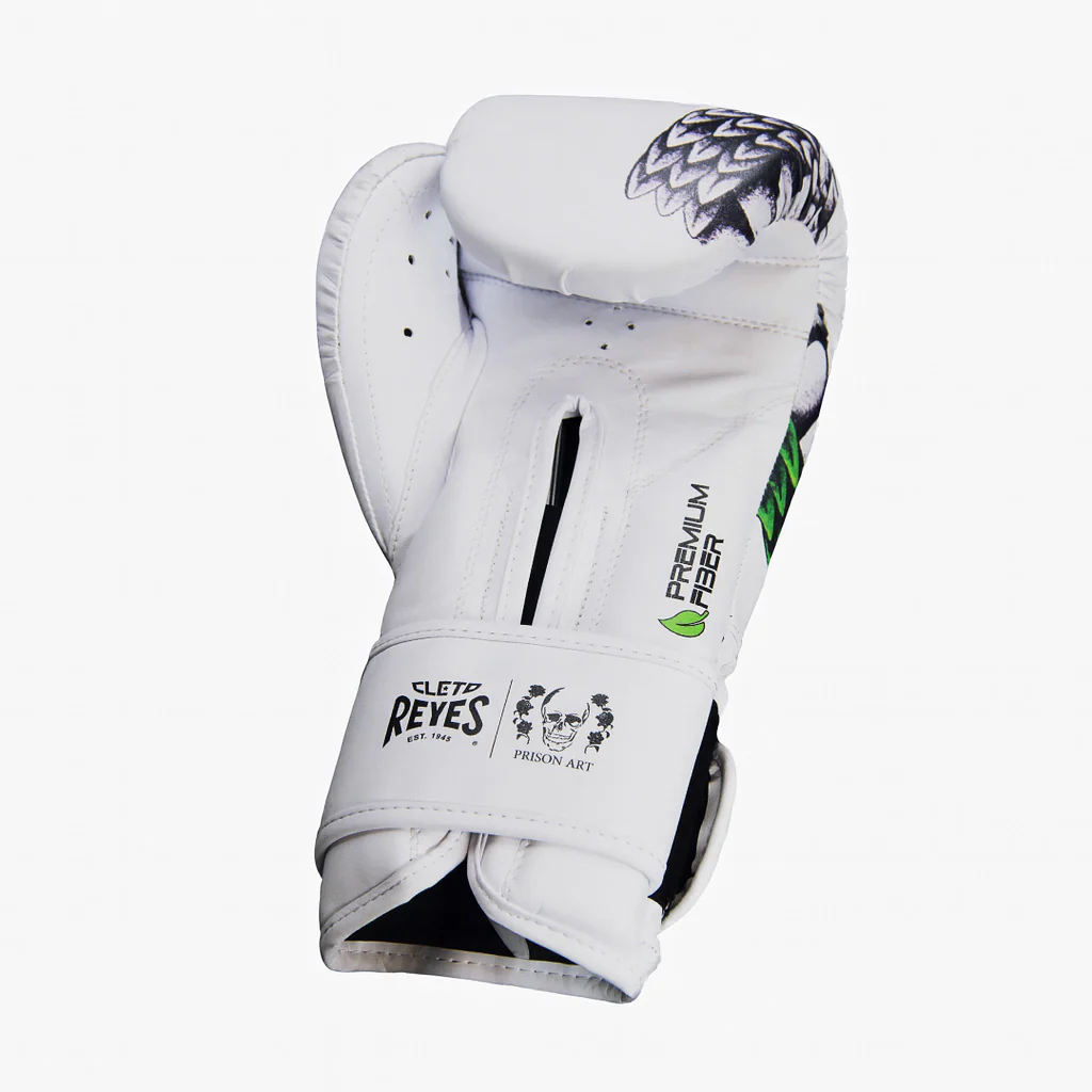 Gants de boxe Cleto Reyes Fiber Quetzalcoatl Prison Art  - Image 5