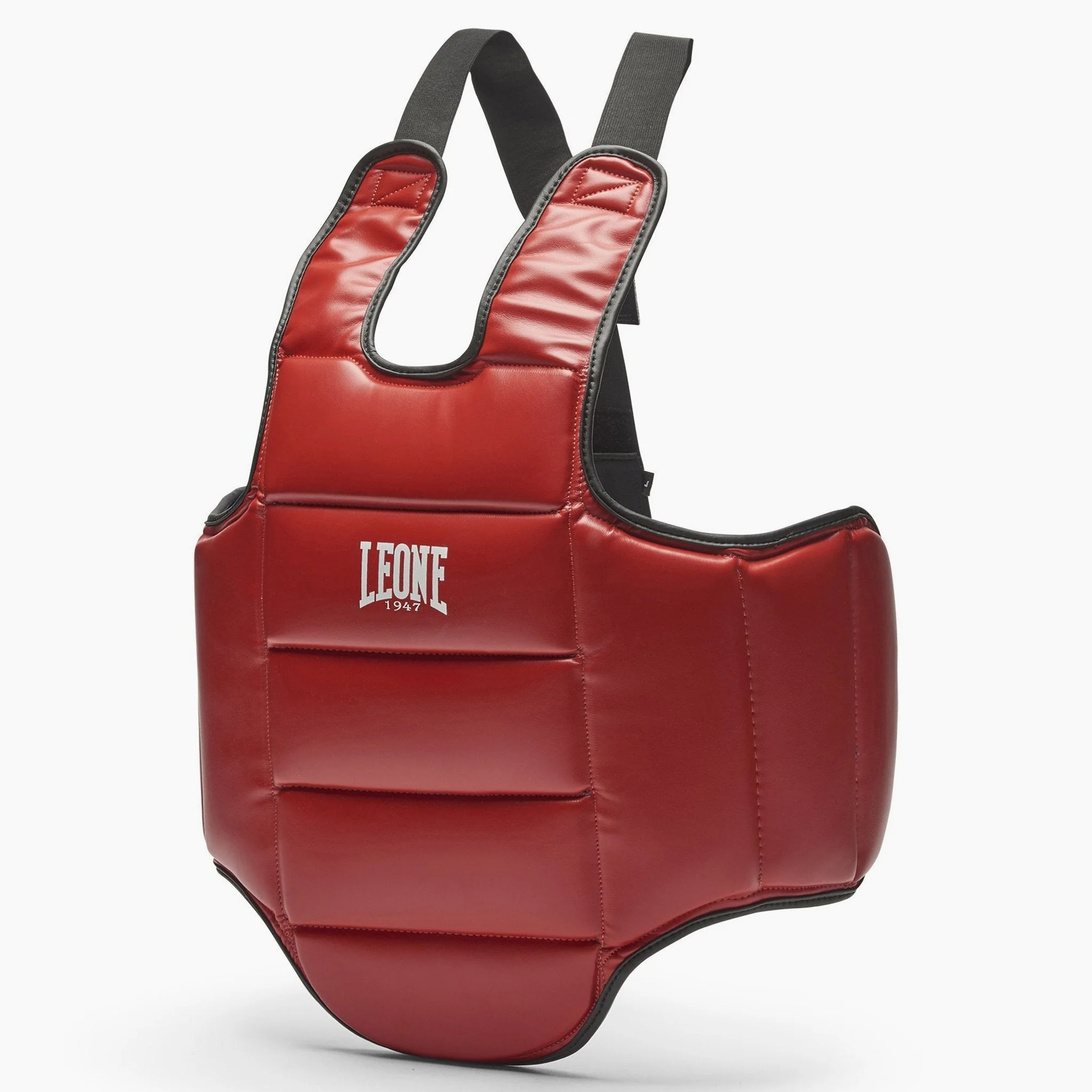 Gilet de protection Réversible Leone PR336 - Image 2