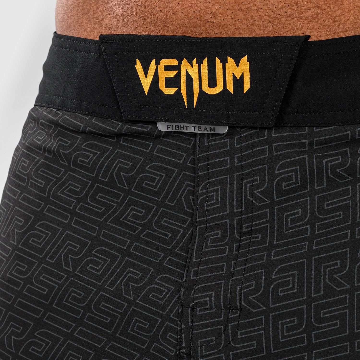 Shorts de MMA Venum X Ares 2.0 Noir-or  - Image 10