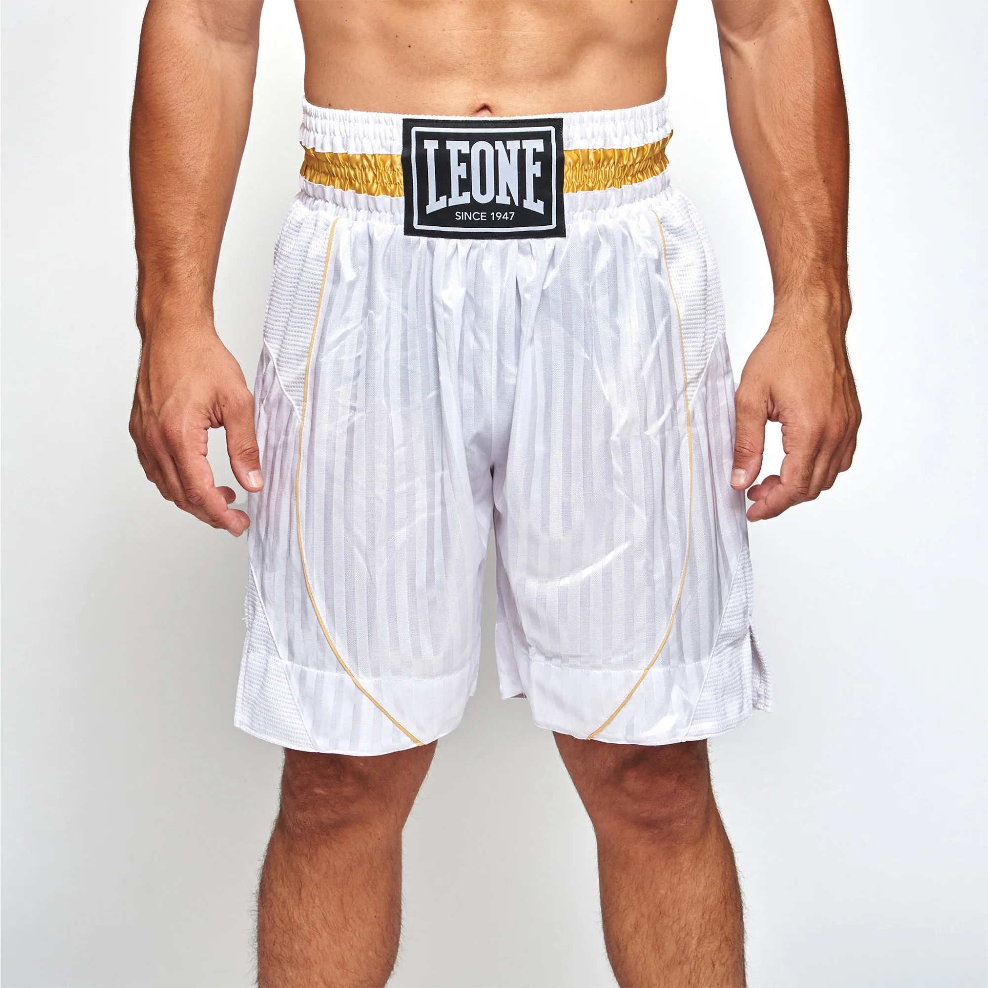 Shorts de boxe Leone Premium AB240  - Image 7