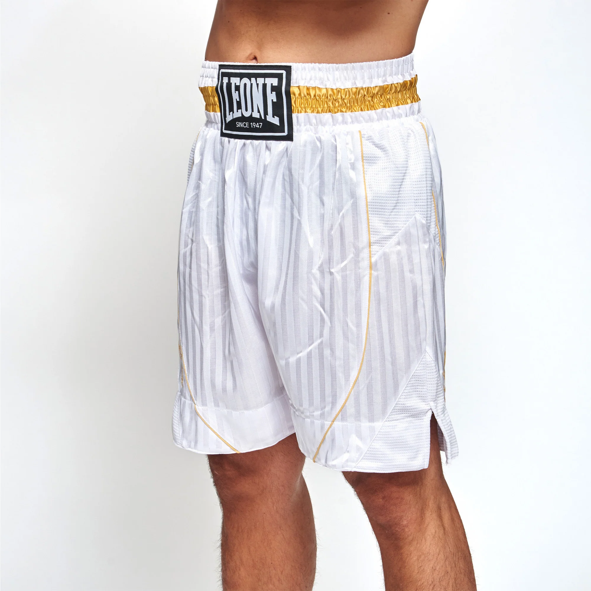 Shorts de boxe Leone Premium AB240  - Image 9