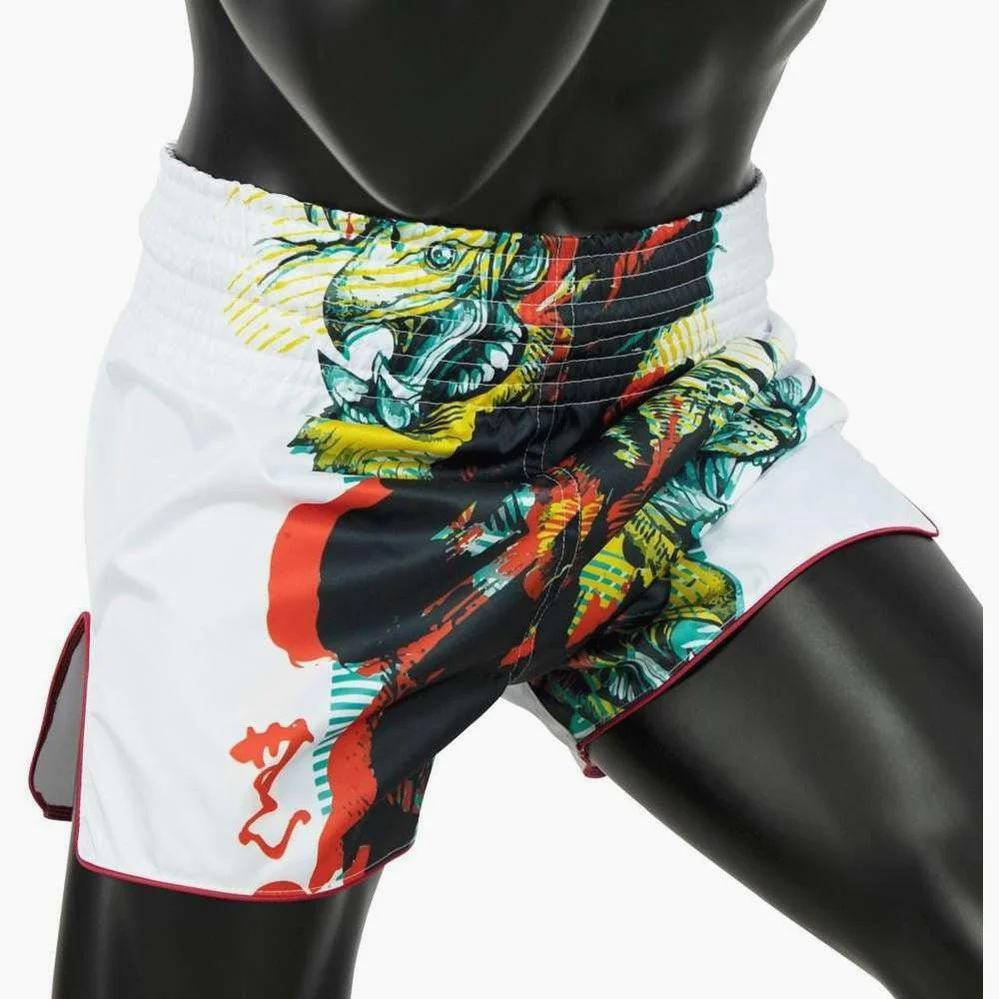 Shorts de kick-thai Fairtex BS1908 La collection de Satoru  - Image 3