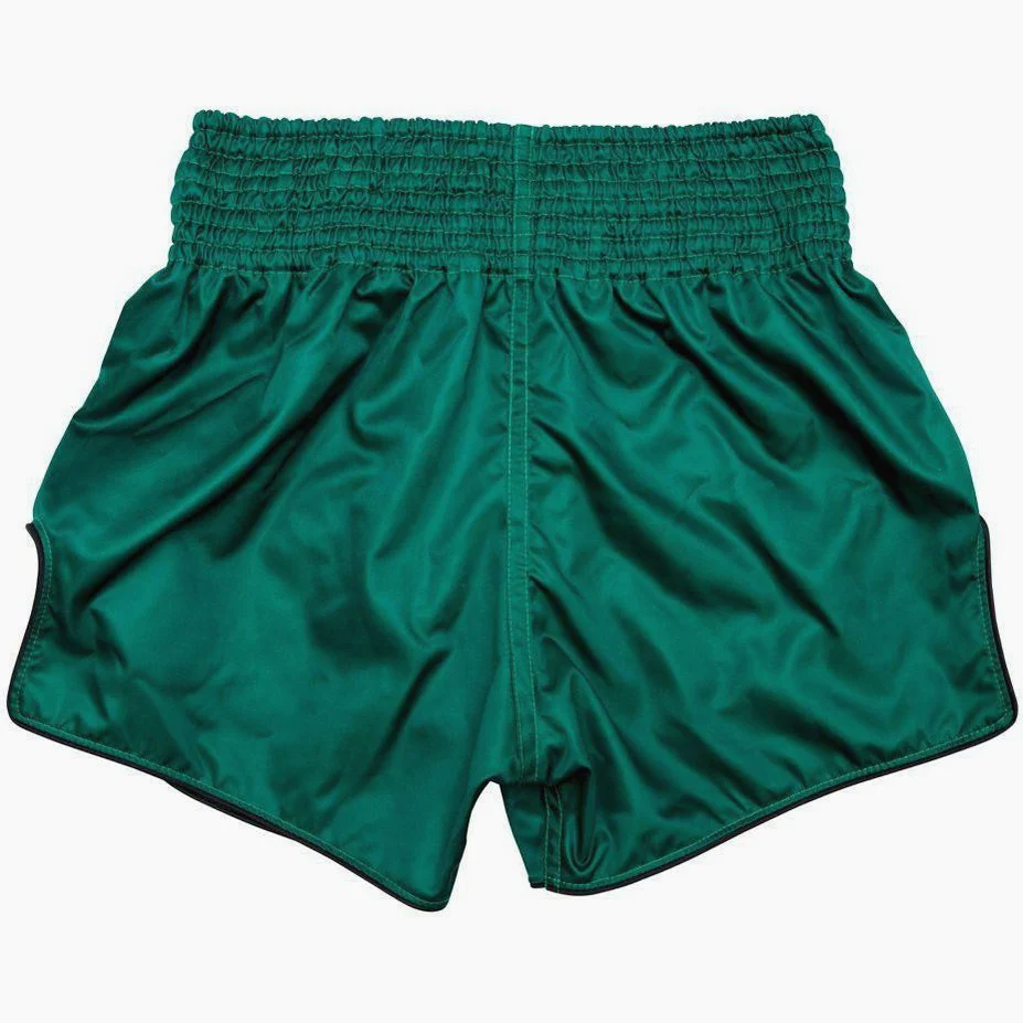 Shorts de kick-thai Fairtex BS1913 Tigre  - Image 4