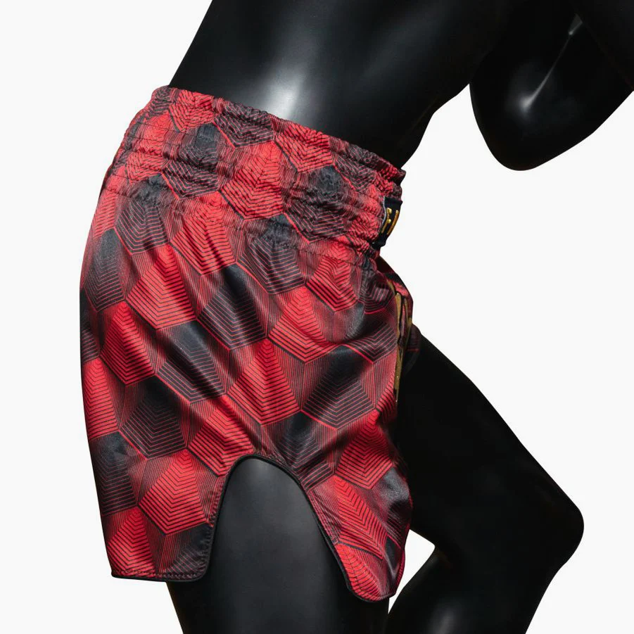 Shorts de kick-thai Fairtex BS1919 Prisme de Feu  - Image 4