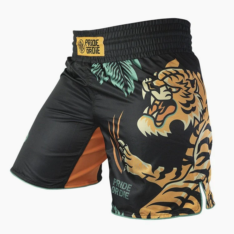 Shorts de MMA Pride or Die Unleashed V2  - Image 3