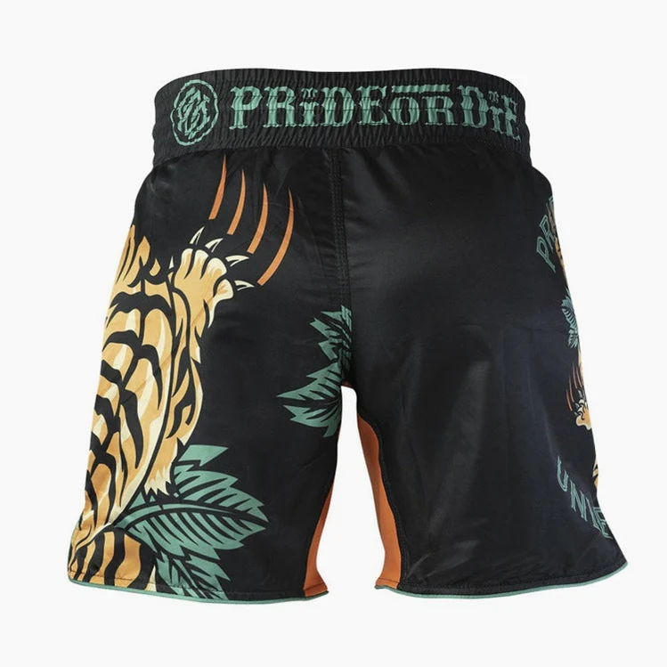 Shorts de MMA Pride or Die Unleashed V2  - Image 4