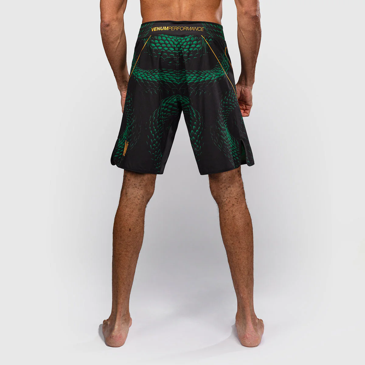 Shorts de MMA Venum Matupa Noir-vert  - Image 3