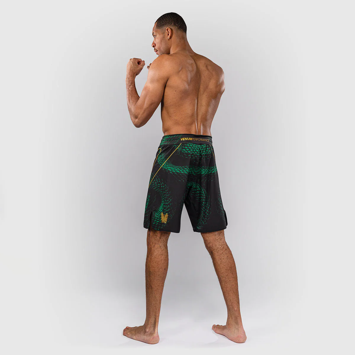 Shorts de MMA Venum Matupa Noir-vert  - Image 5