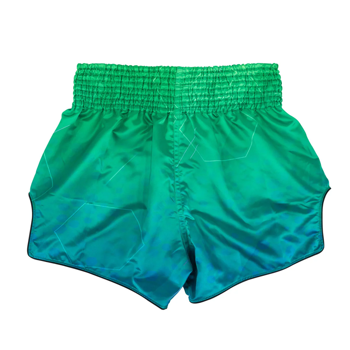 Shorts kick-thaï Fairtex BS1953 Quantum - Image 2