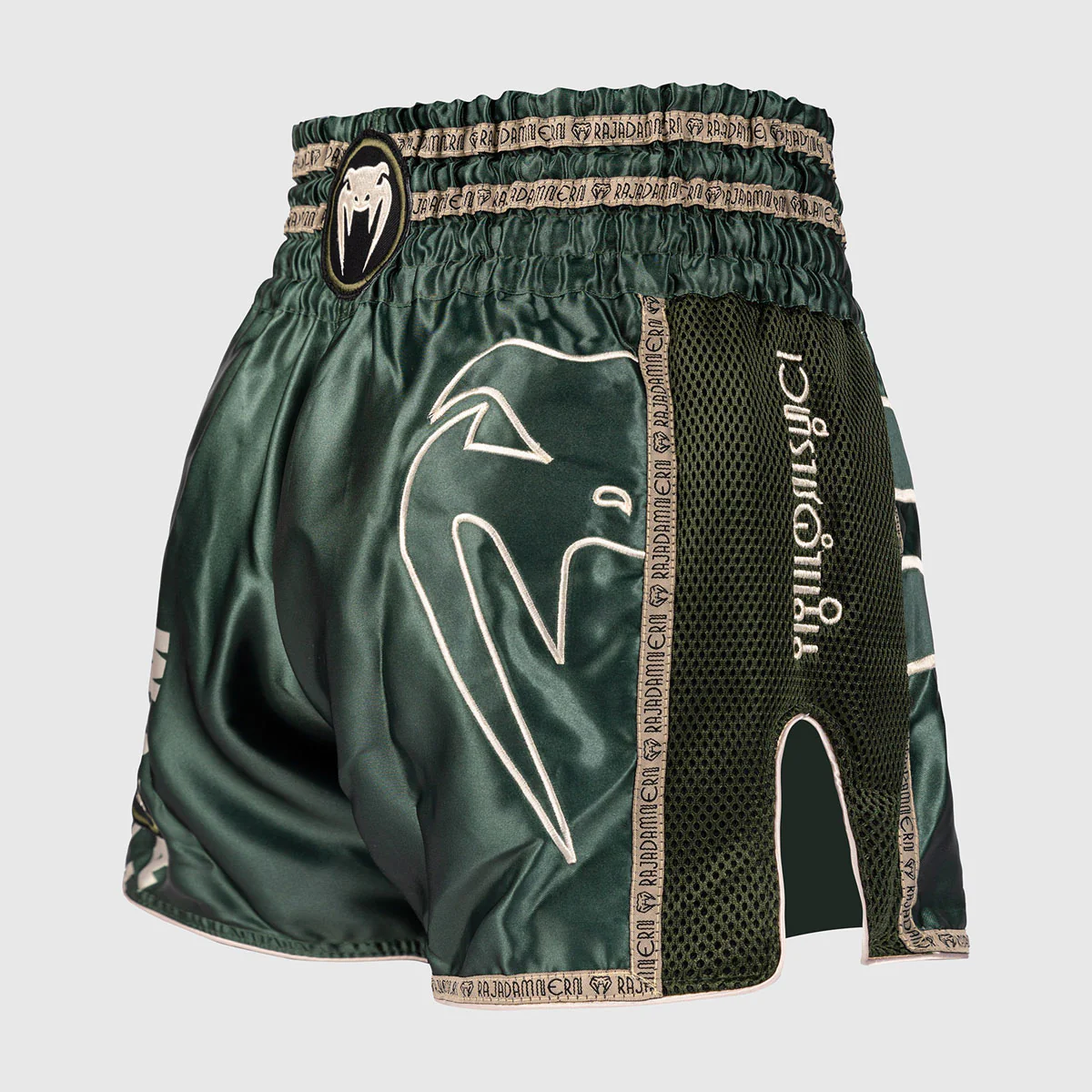 Shorts kick-thaï Venum x Rajadamnern Vert  - Image 3